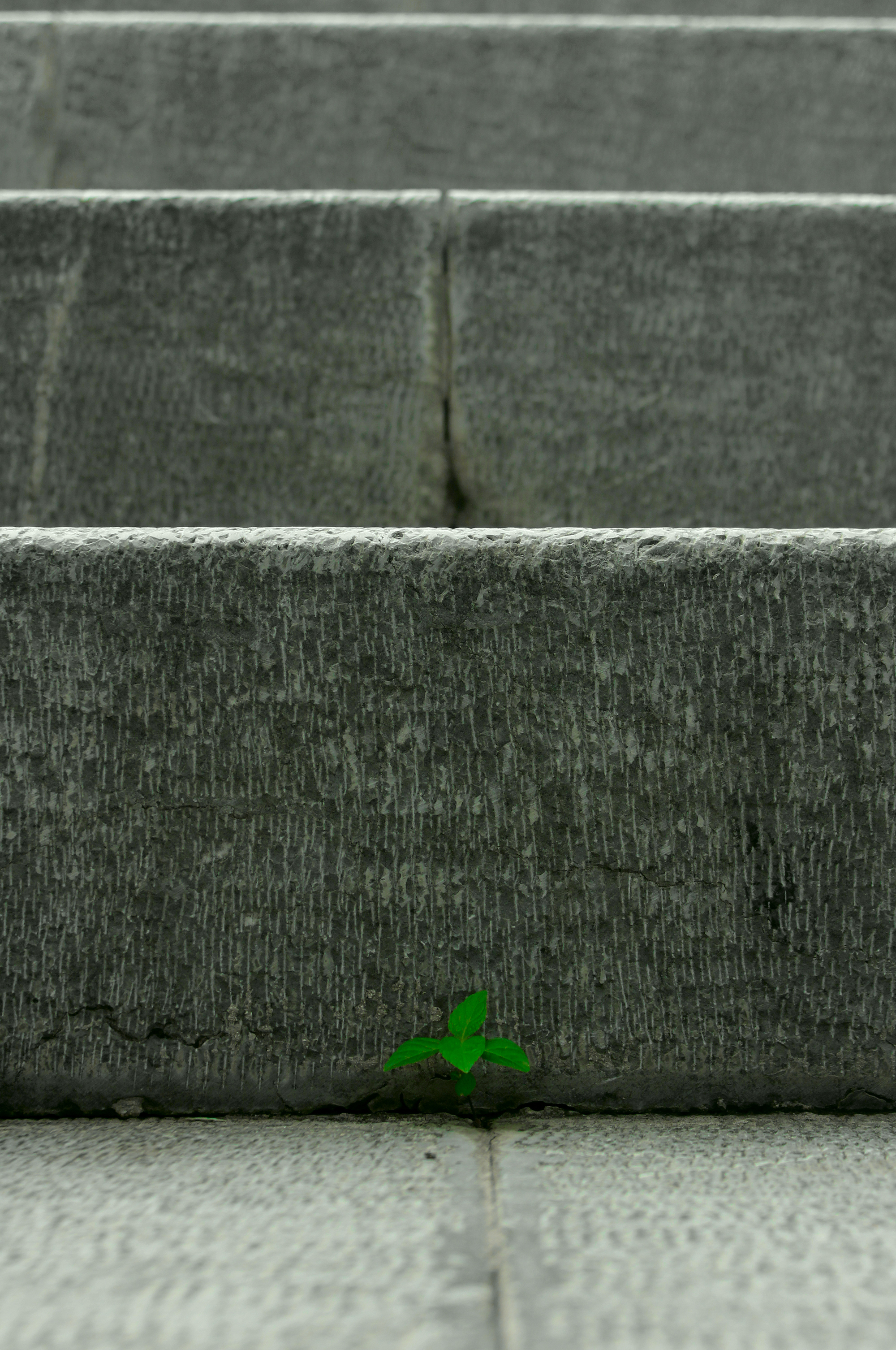 photo0